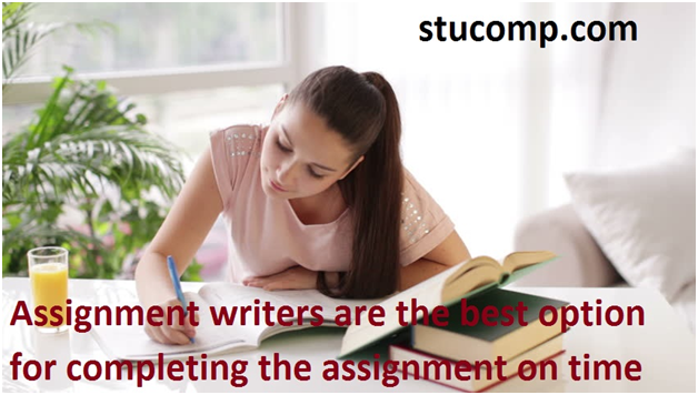 Assignment Writers Are The Best Option For Completing The Assignment On Time