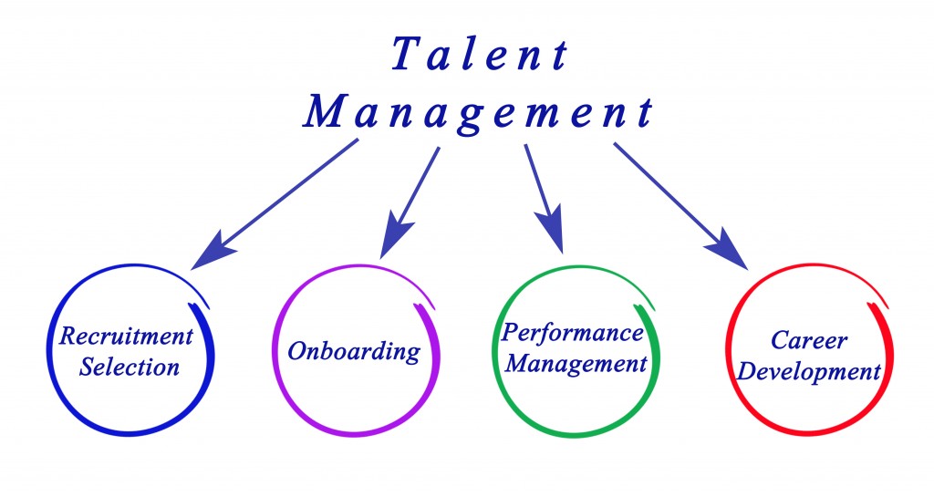 Diagram of Talent Management