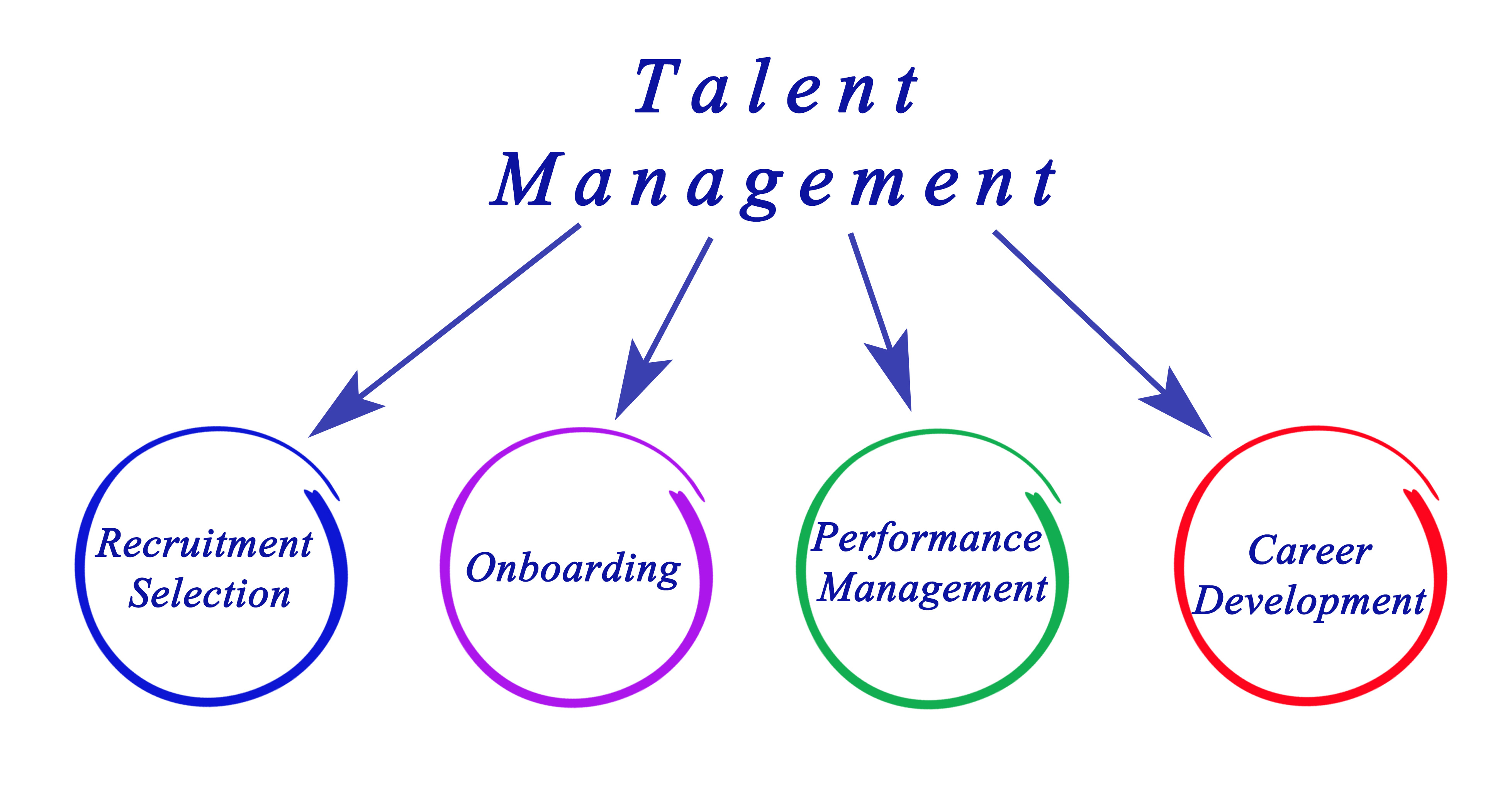 How Talent Management Helps Boosting Employee Retention The College 